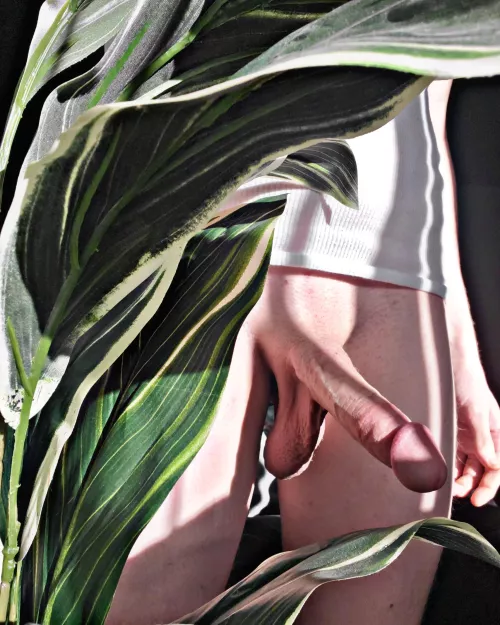 Nature Boy 😜🍆🪴