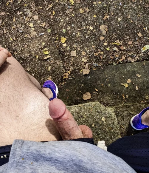 Out on my morning walk hoping to bump into a horny bear