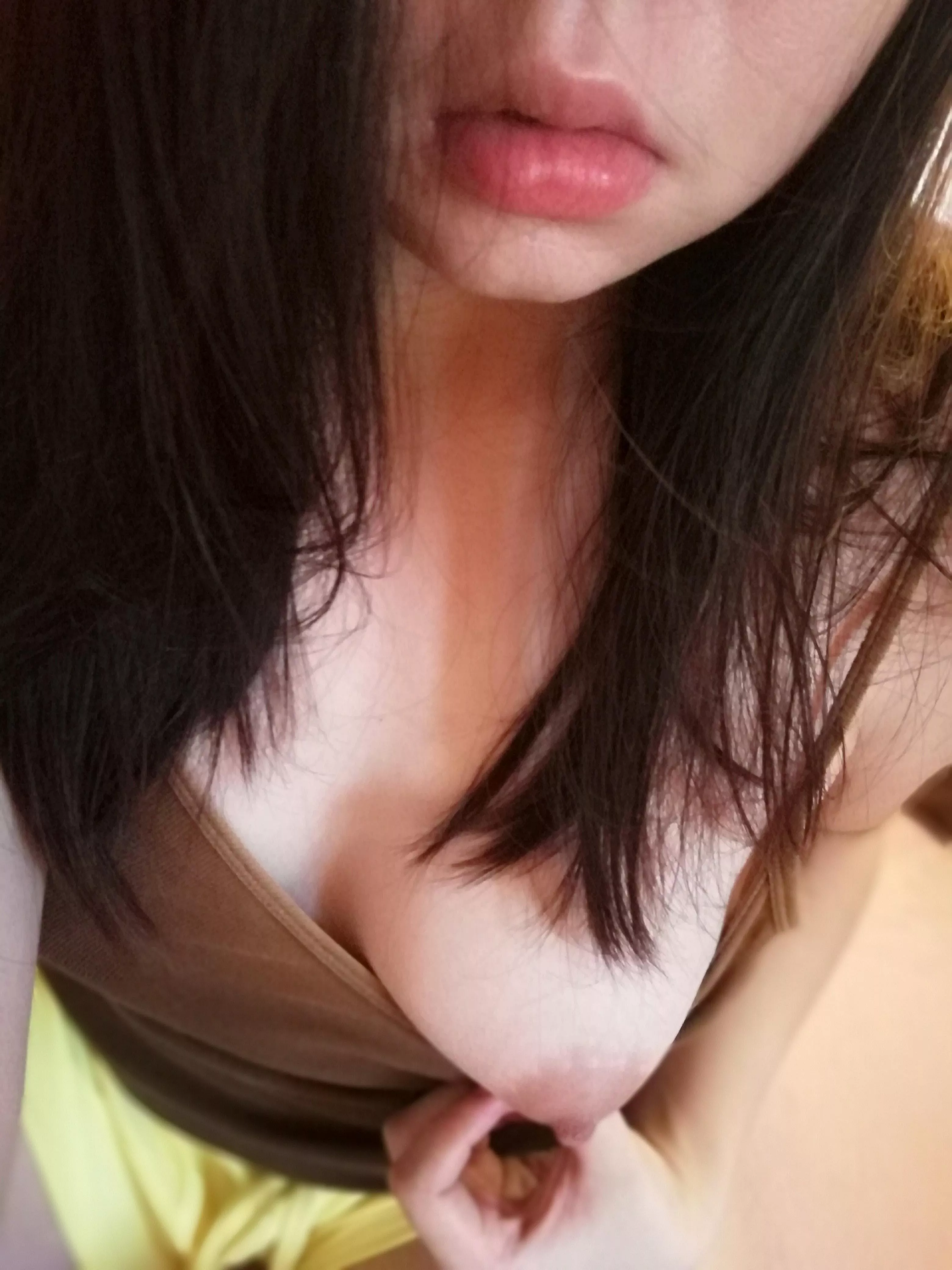 padaan [F]