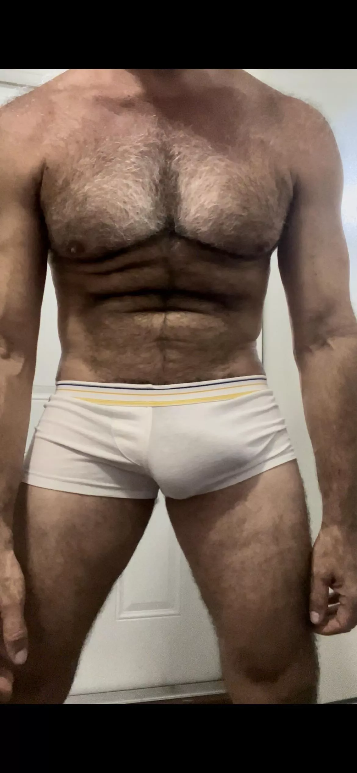 White trunk