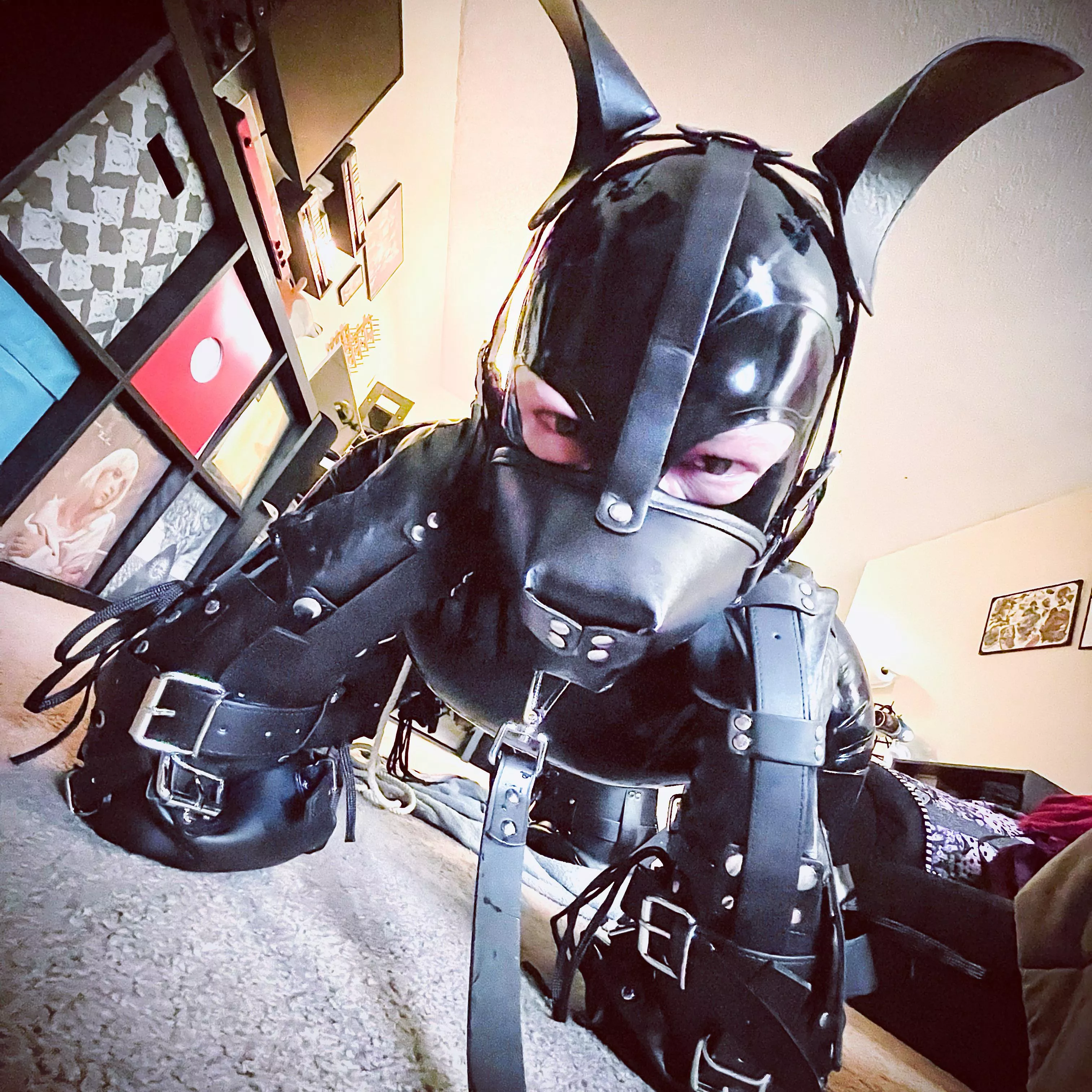 All Pup’d Up 🐶