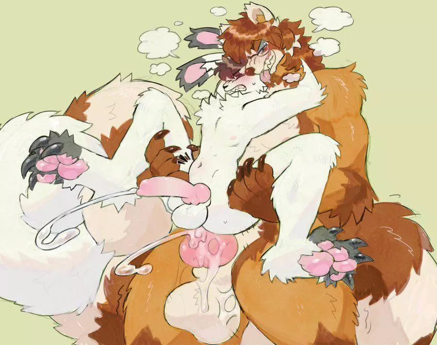 (birdpaw)