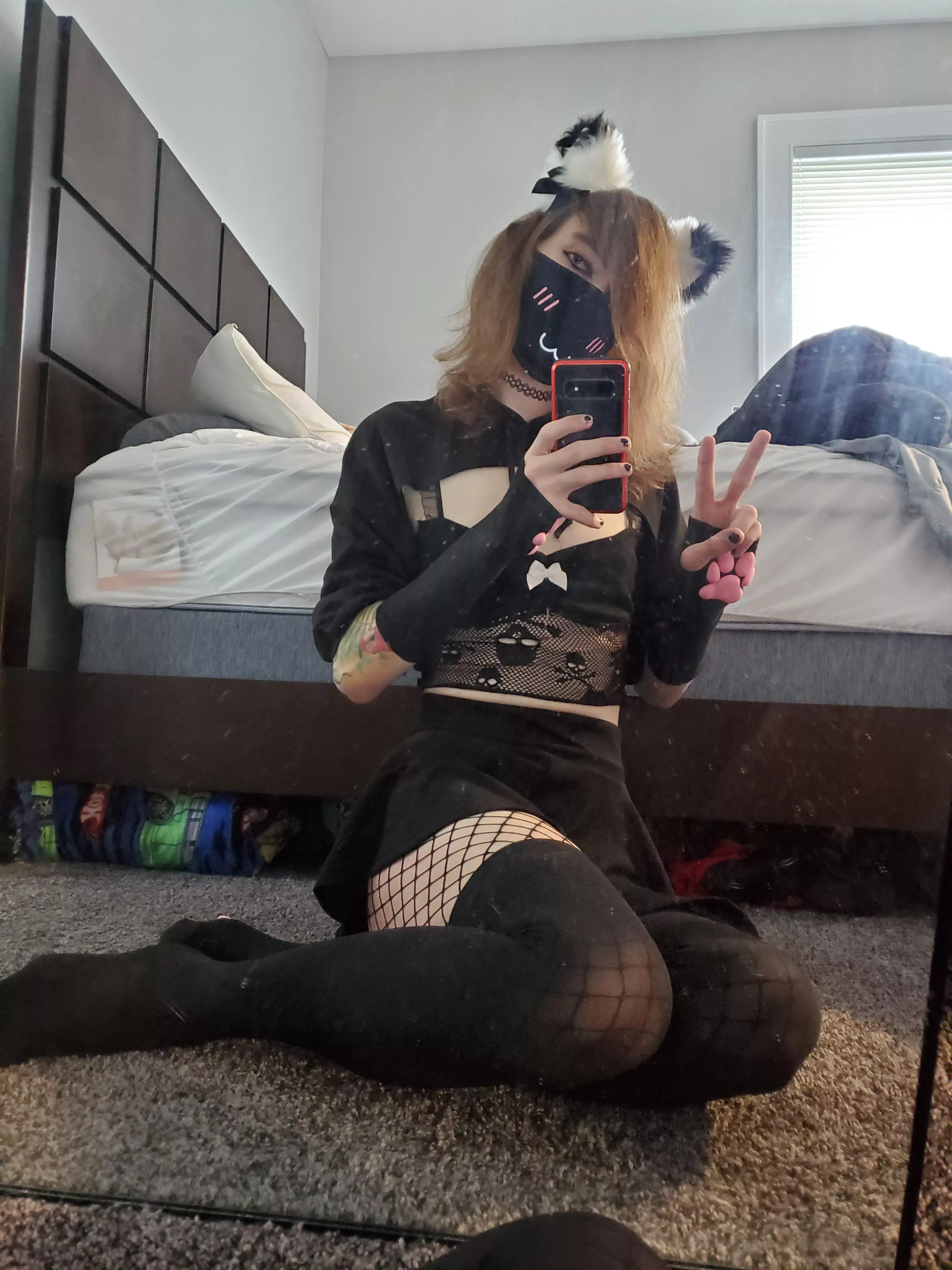 catboy 😼