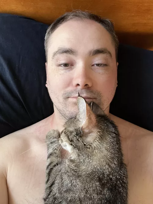 Getting out of bed in the morning is always difficult when your cat won’t move.