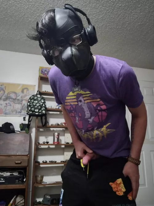 I know it's Locktober but when the cat's away the pups will play 😎