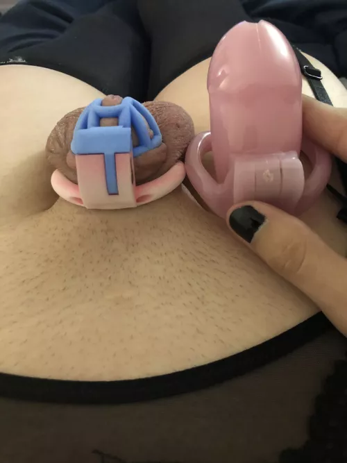 I need a bully to come and make fun of my shrinking clitty