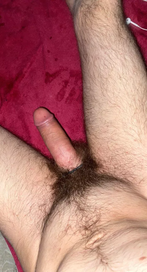 My penis