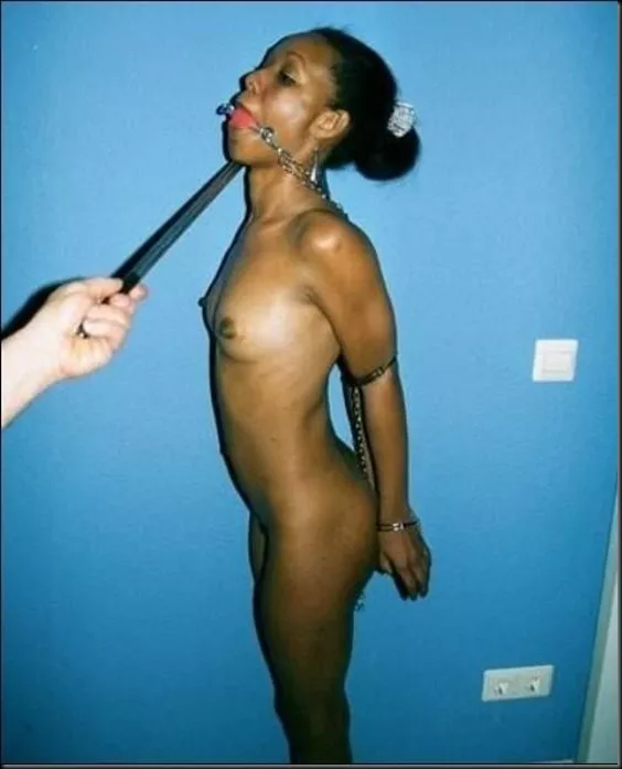 New bdsm master in town