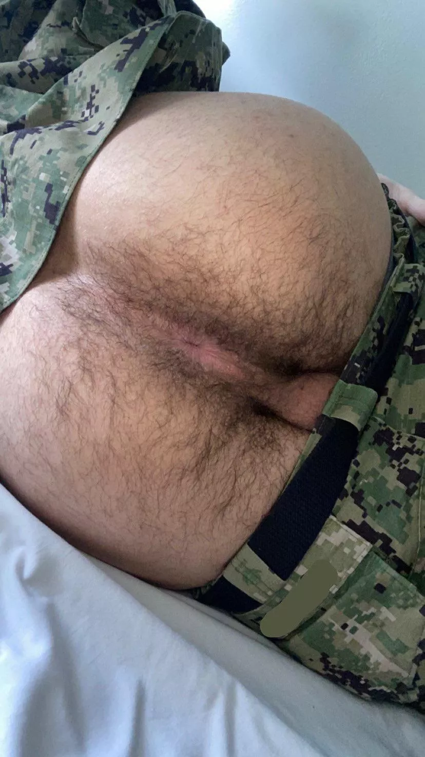 Wanna smell my musky ass ?
