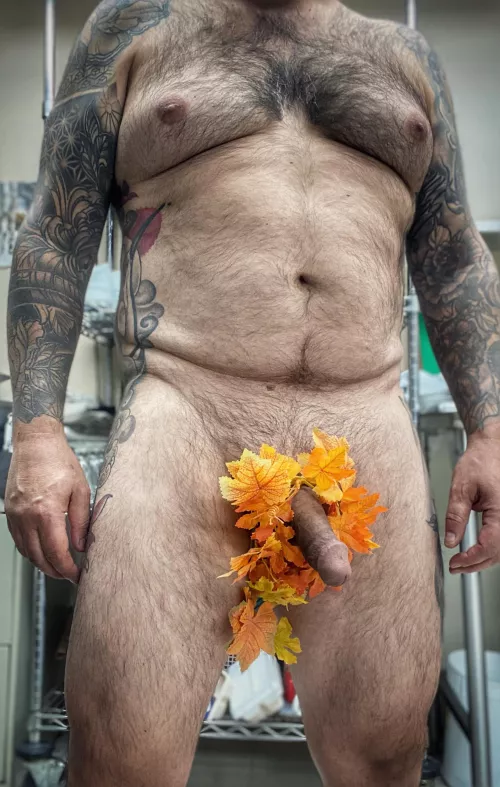 [55] Cuming up on the long weekend (🇨🇦) Enjoy those autumn colour…