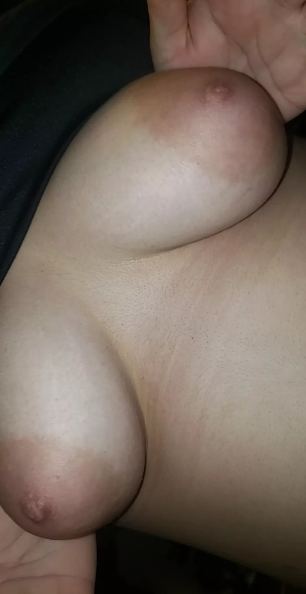 here they are