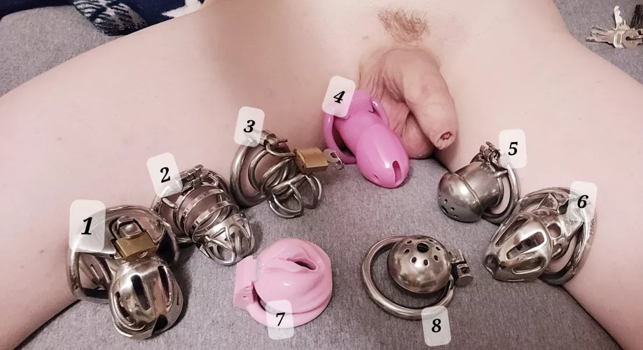 I've been caged a week! which should I recage to?