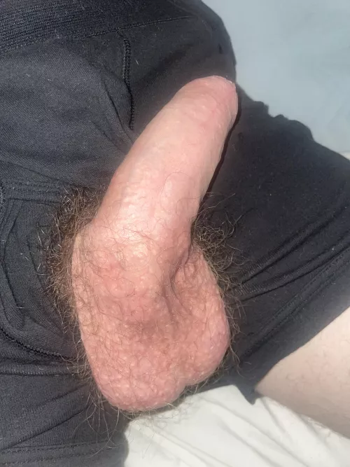 Let me put my soft cock in your mouth while you suck the tip and let it grow hard in your mouth until i cum all over your face🤤(20)