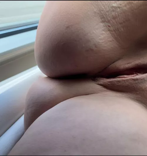 Let me sit on your face before you breed me!