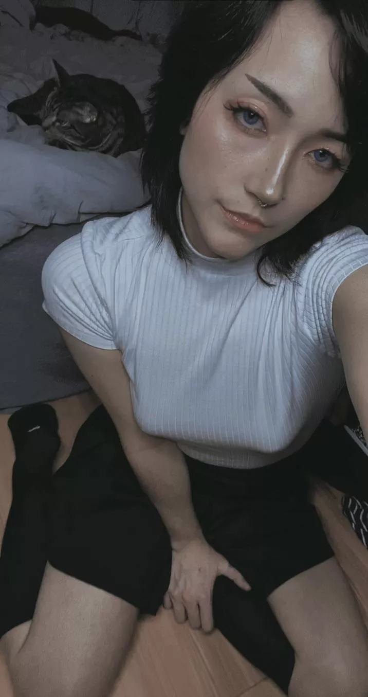 hi 👋