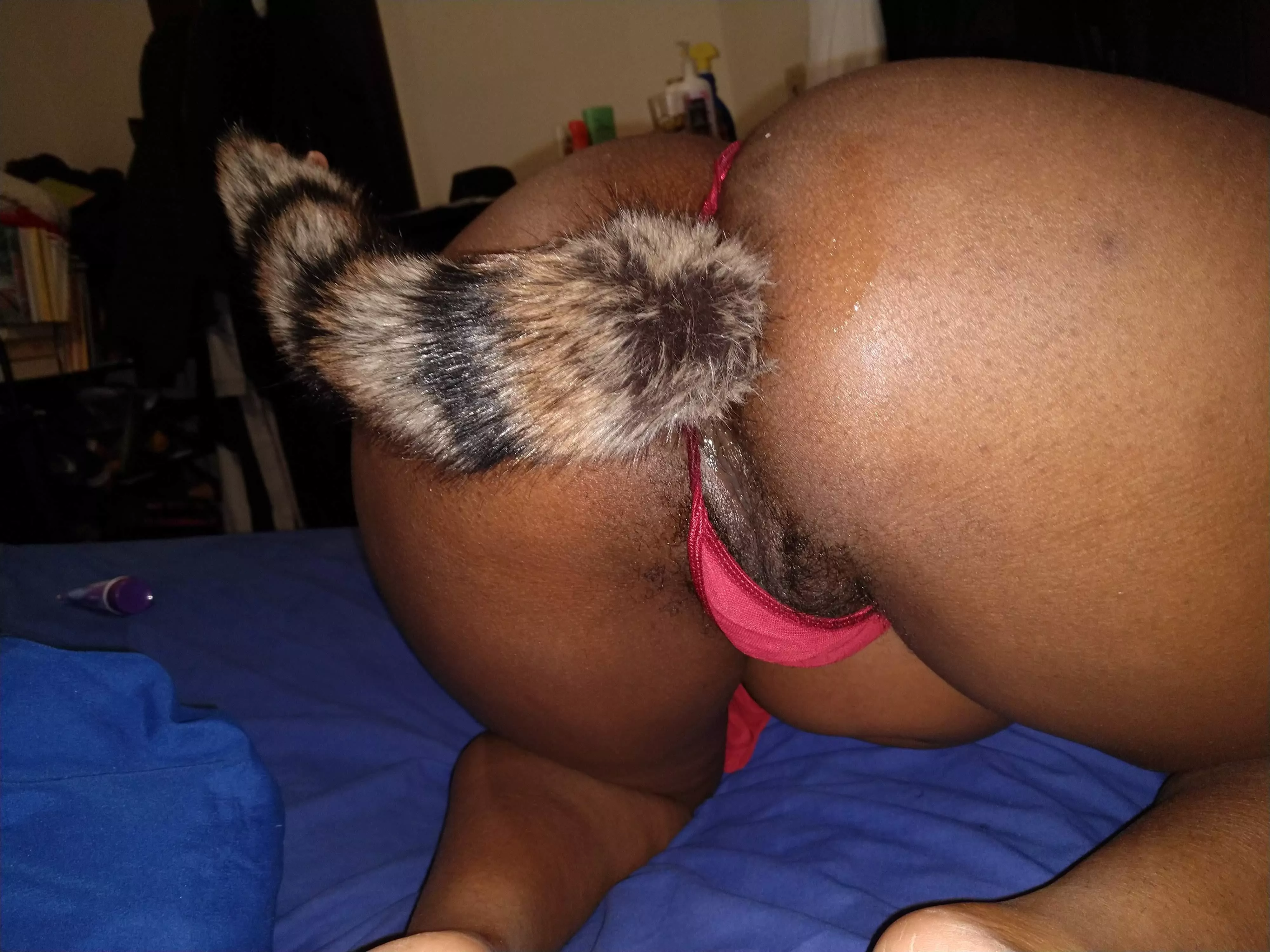 How's my tail