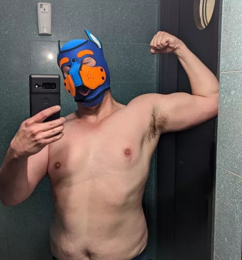 I finished up at the gym, need some pups in these pits now 😈