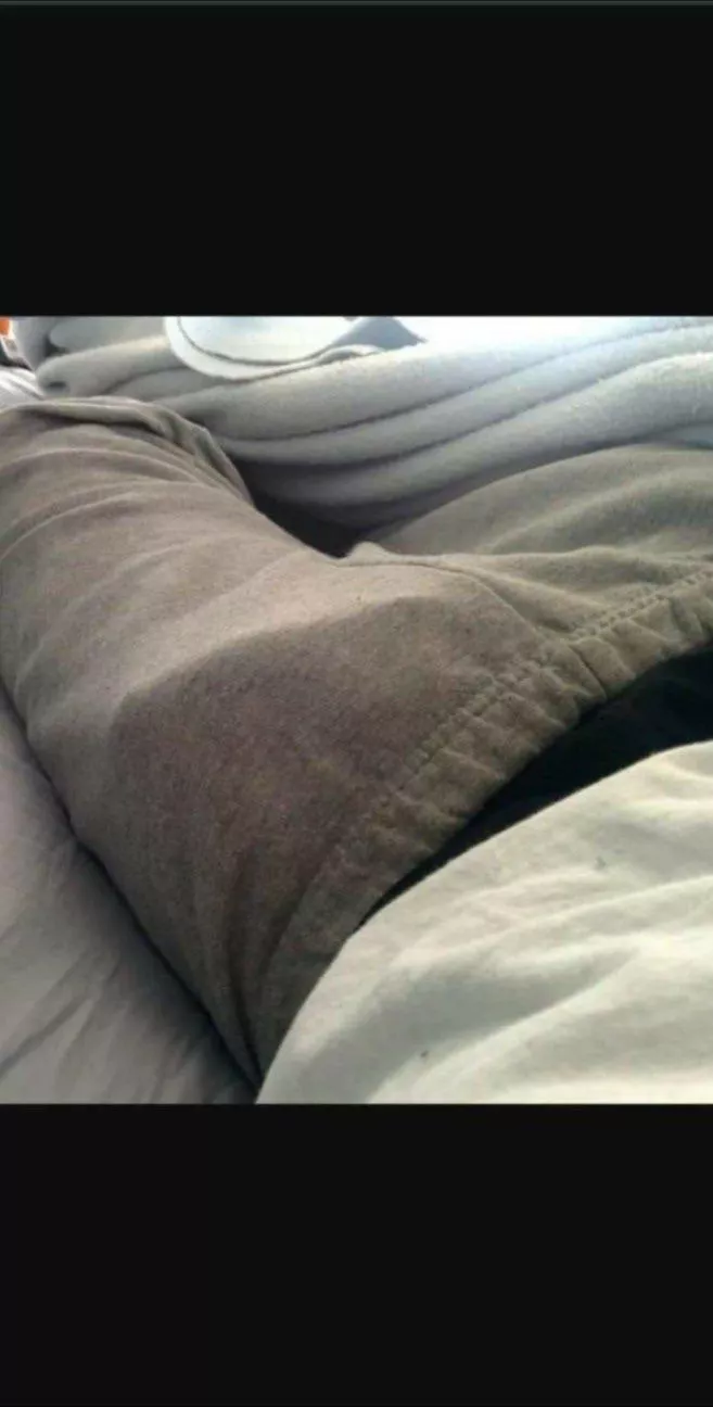 MorningCock