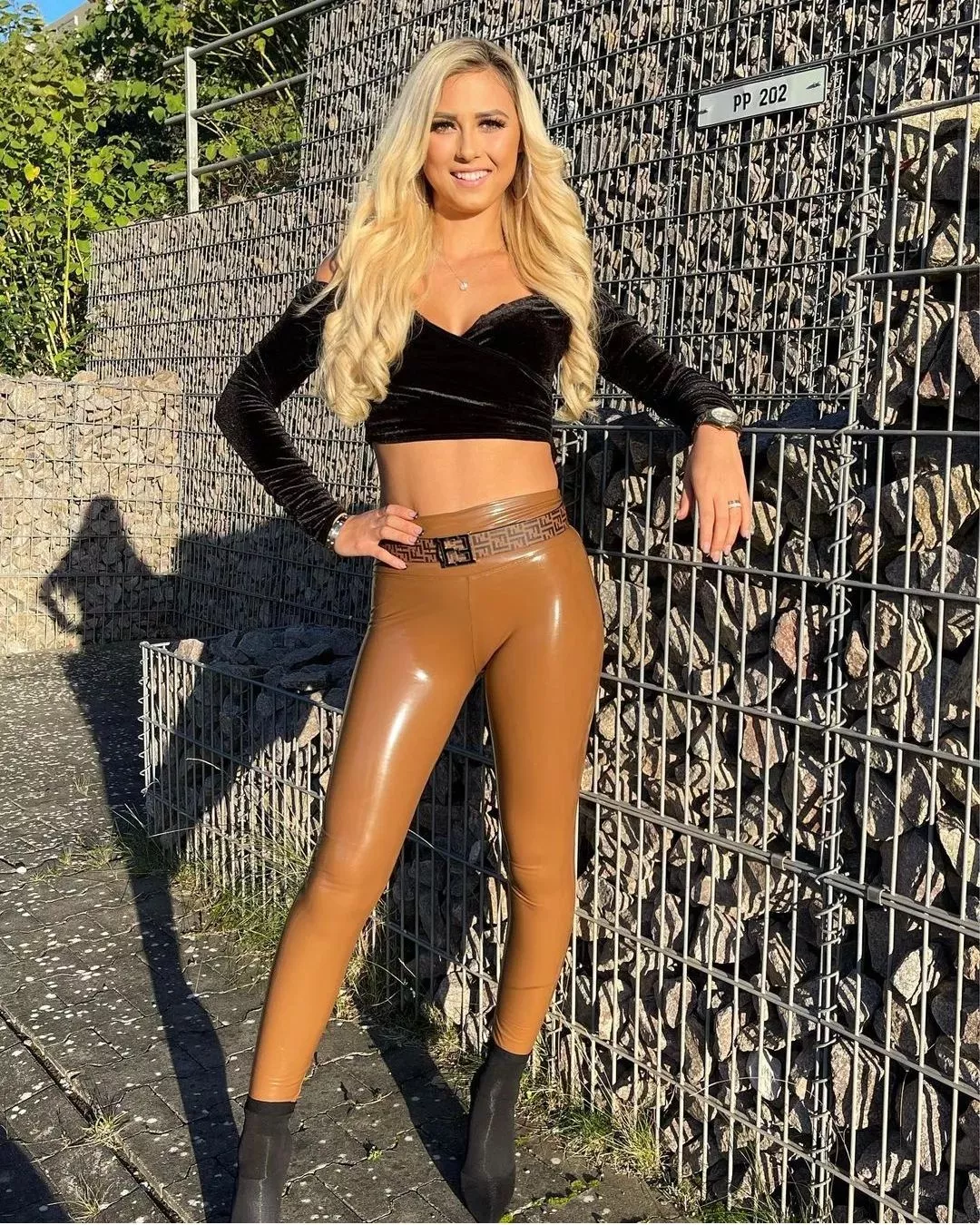Shiny Brown