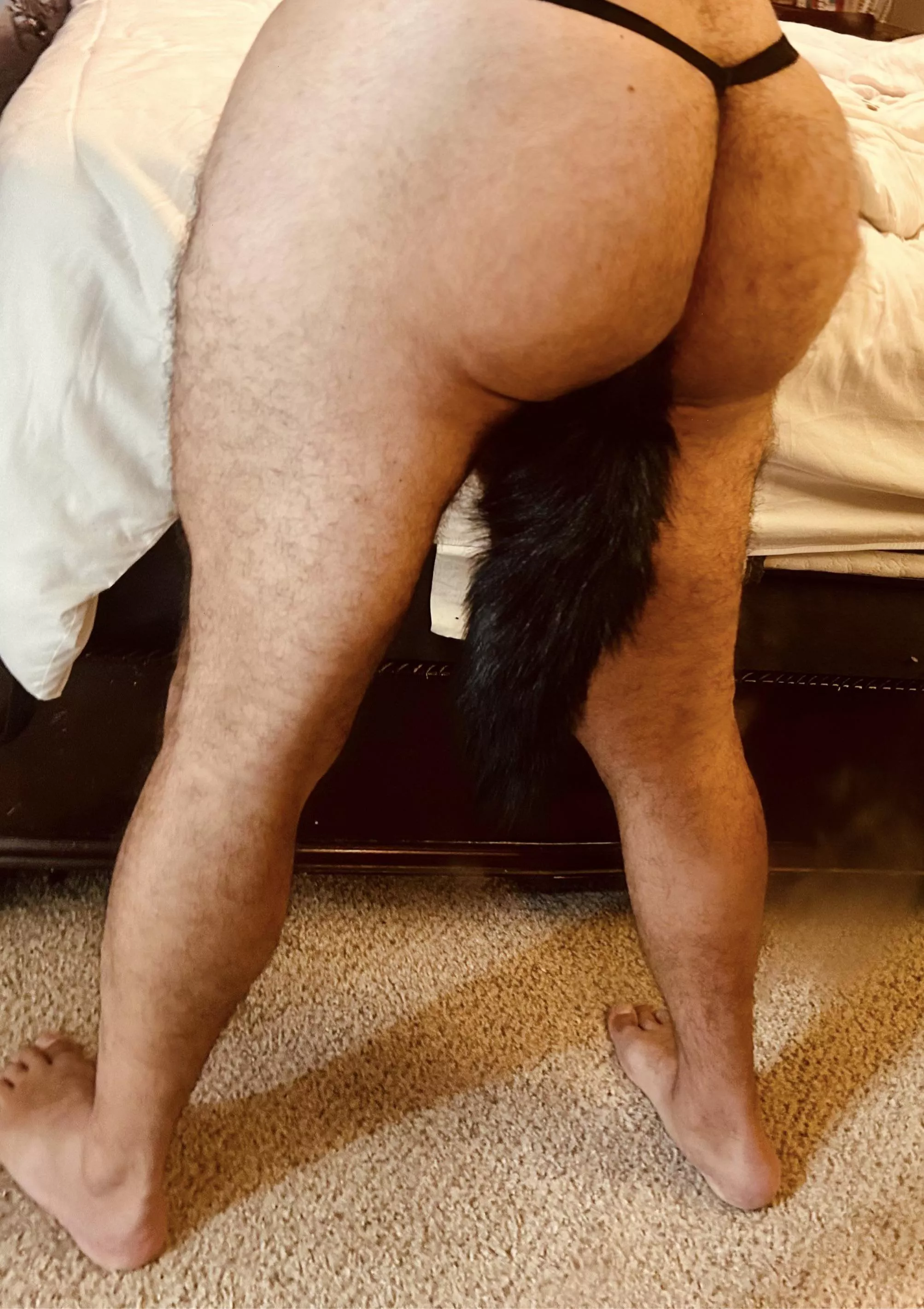 🐱