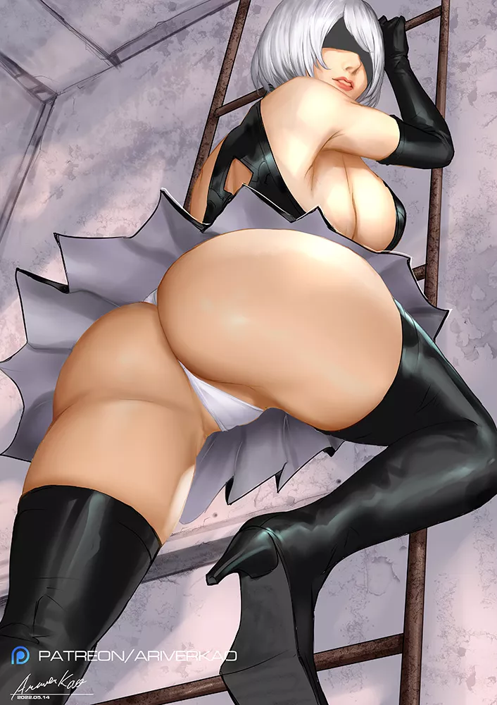 2B going up the ladder (ariverkao)