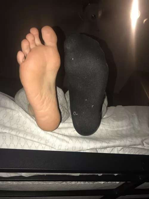 Back from clsas, anyone wanna Sniff??