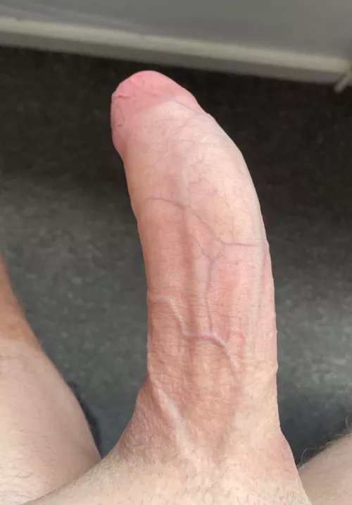 Does anyone want my cock?