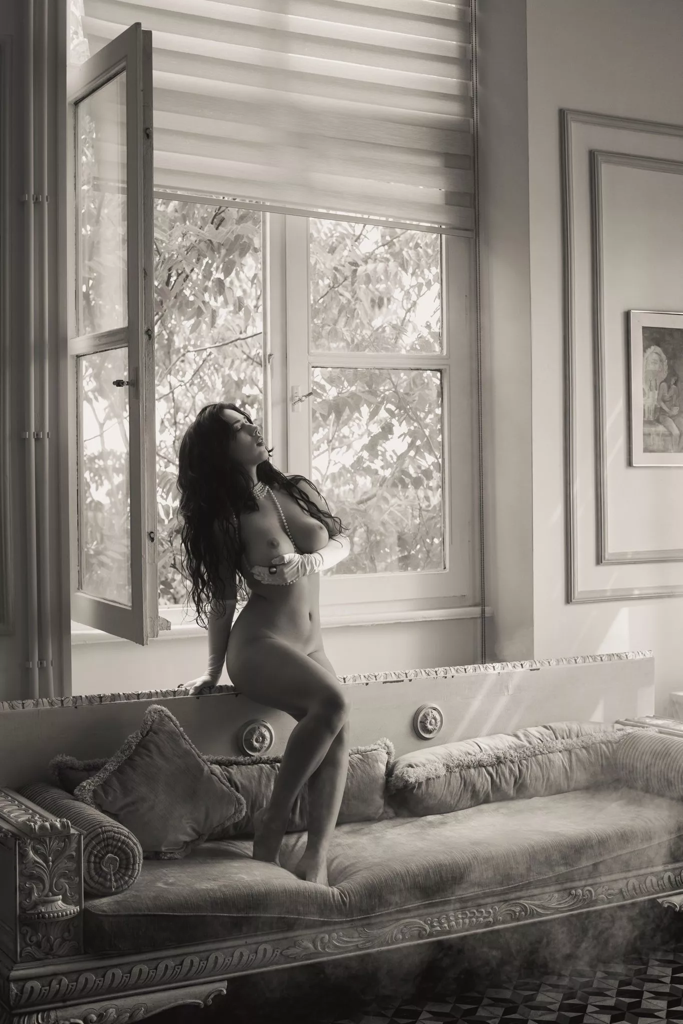 Elegant window