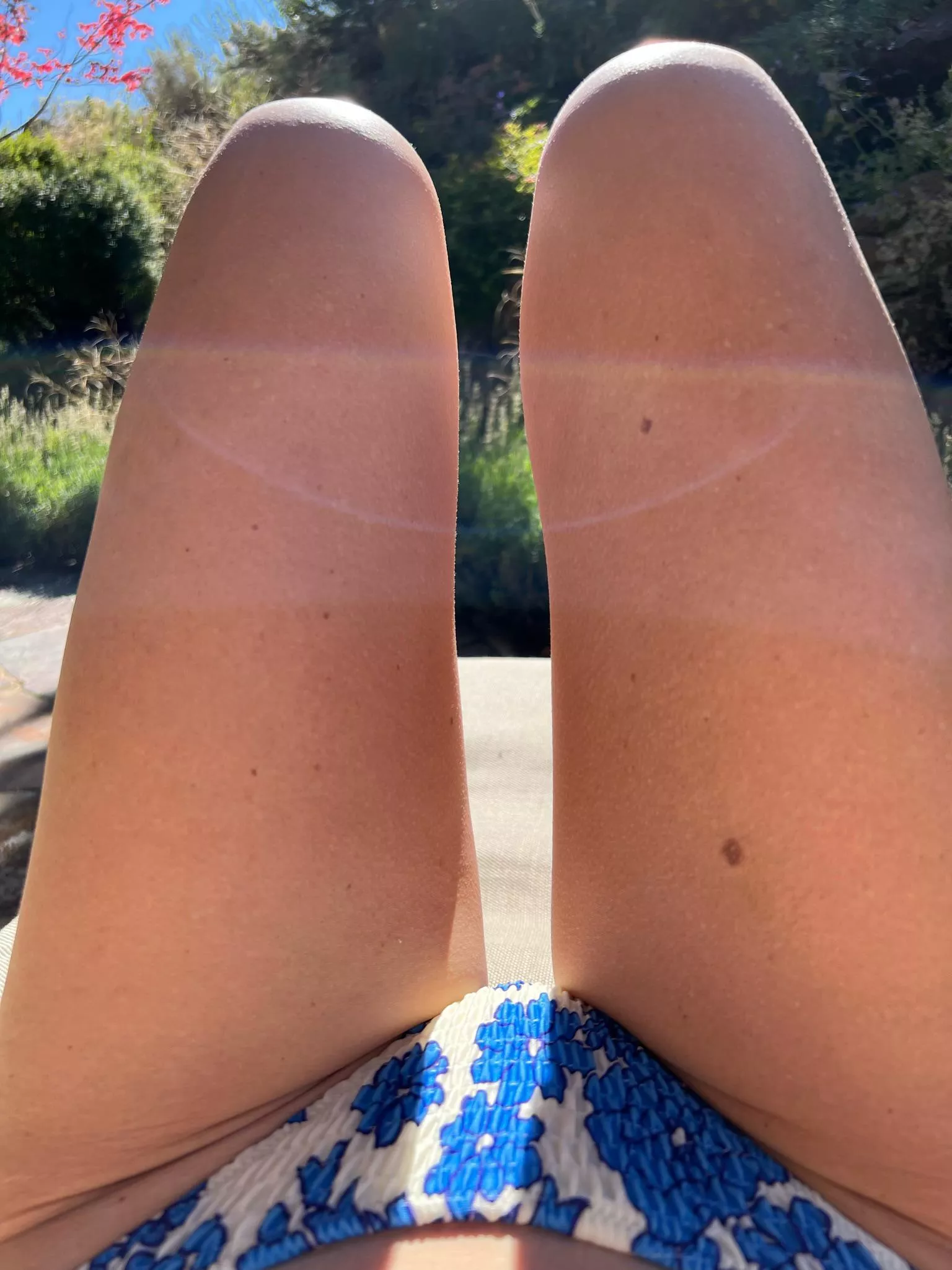Enjoying a sunny afternoon by the pool