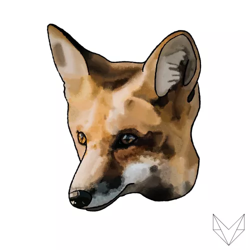 Fox Portrait (read my comment, please)