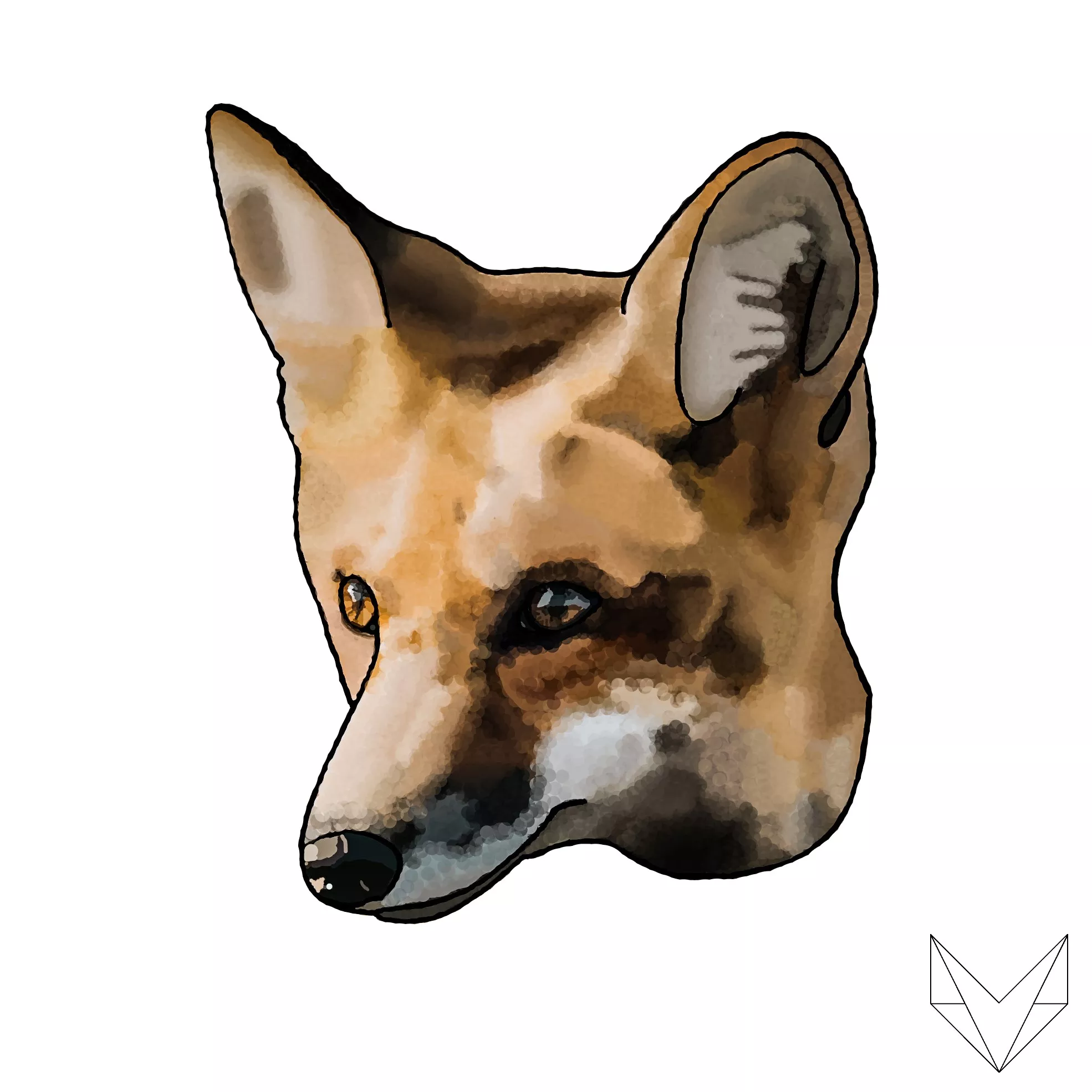 Fox Portrait (read my comment, please)
