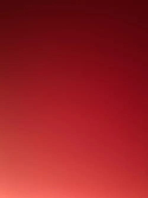 Hacking snaps for free hmu 😈