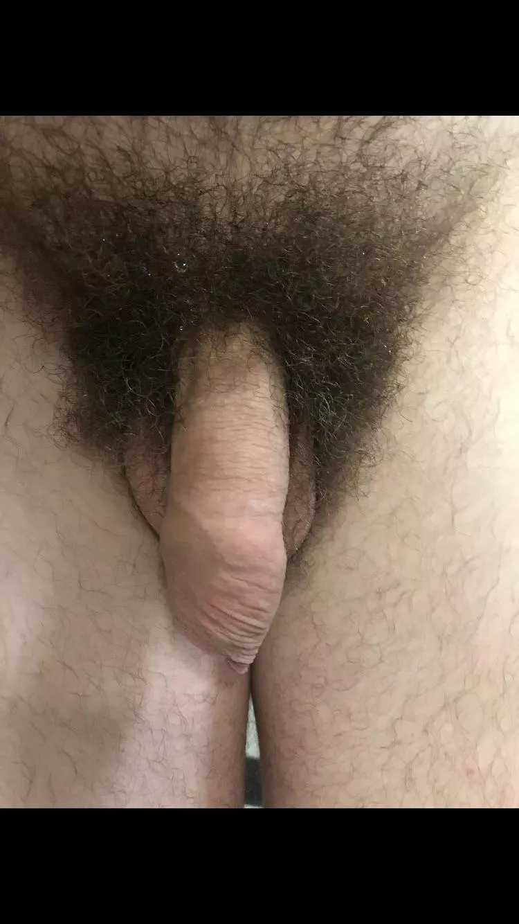 Hairy and happy