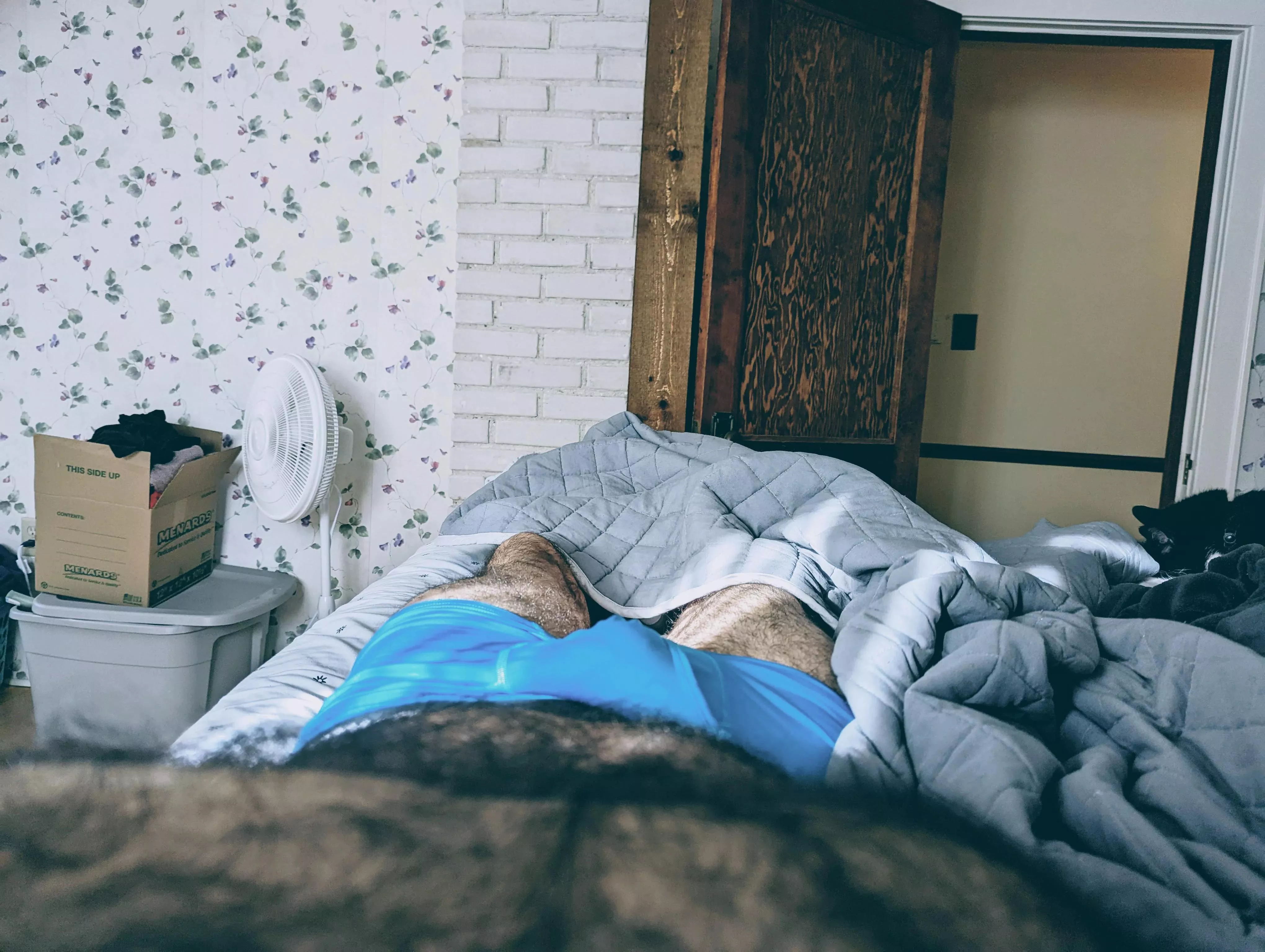 If you can get past the terrible wallpaper, a cameo by a cat you might enjoy the pic! just found this sub If you can get past the terrible wallpaper, a cameo by a cat you might enjoy the pic! just found this sub