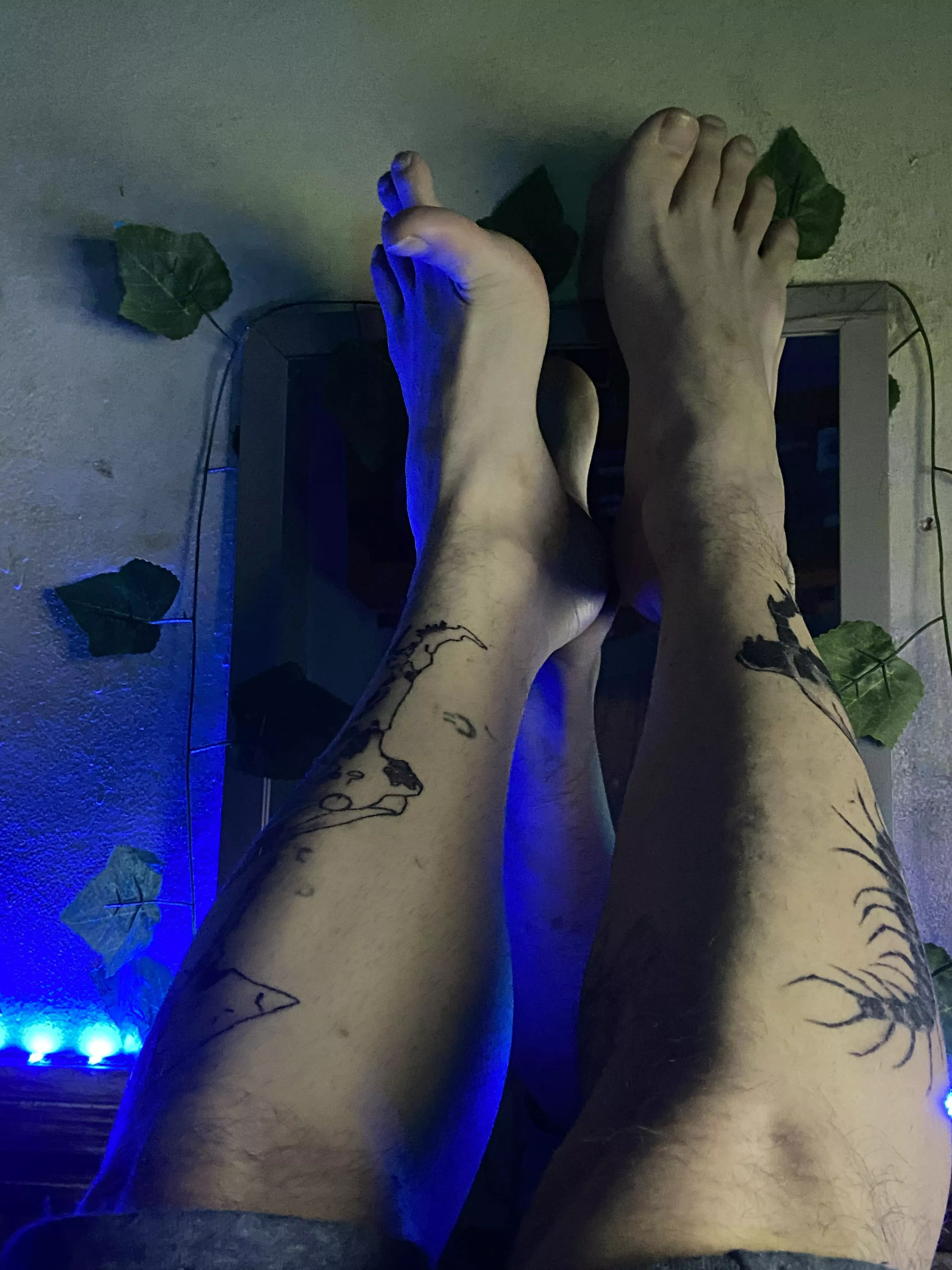 Im new here