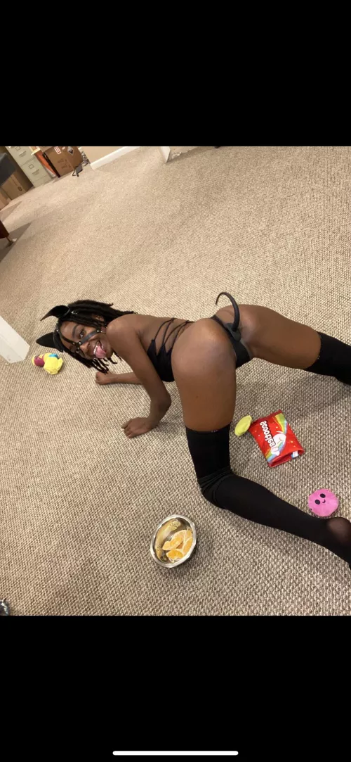 Look master!!!! I put my tail in all by myself!!