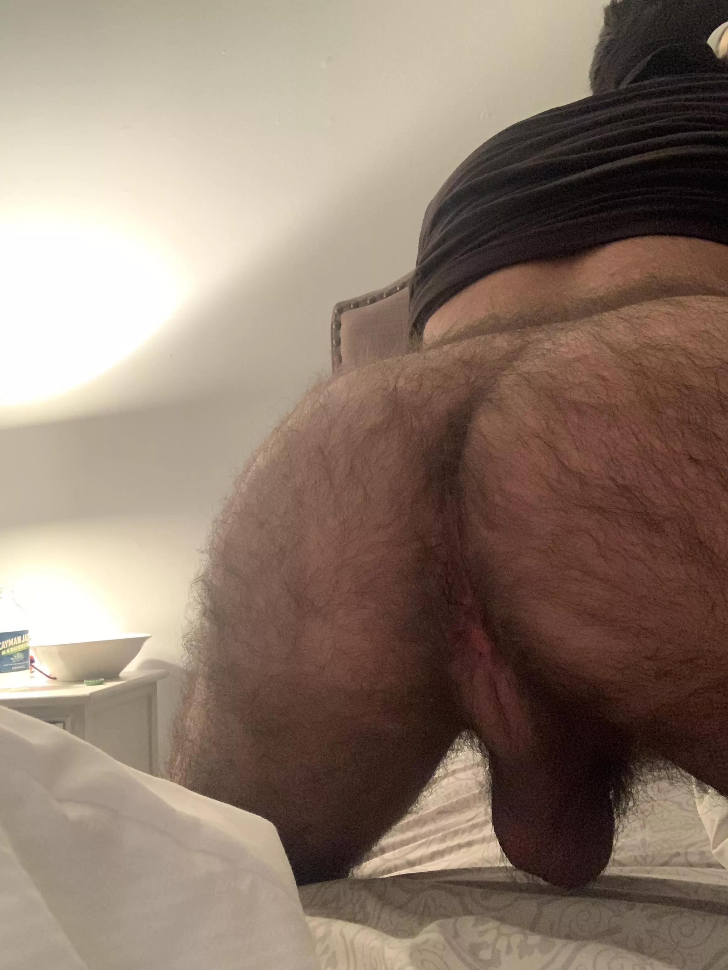 Looking for some hairy ass? 😈