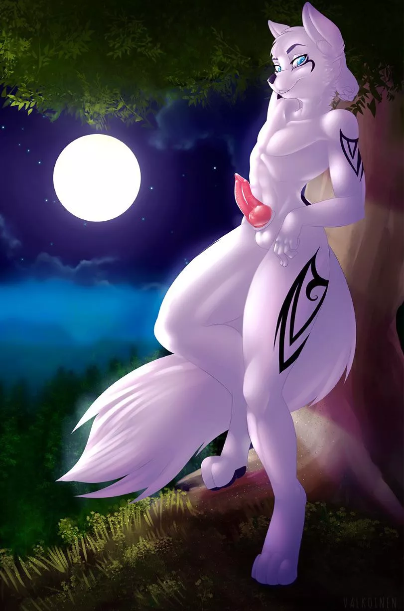 Meet me in the moonlight (Valkoinen)