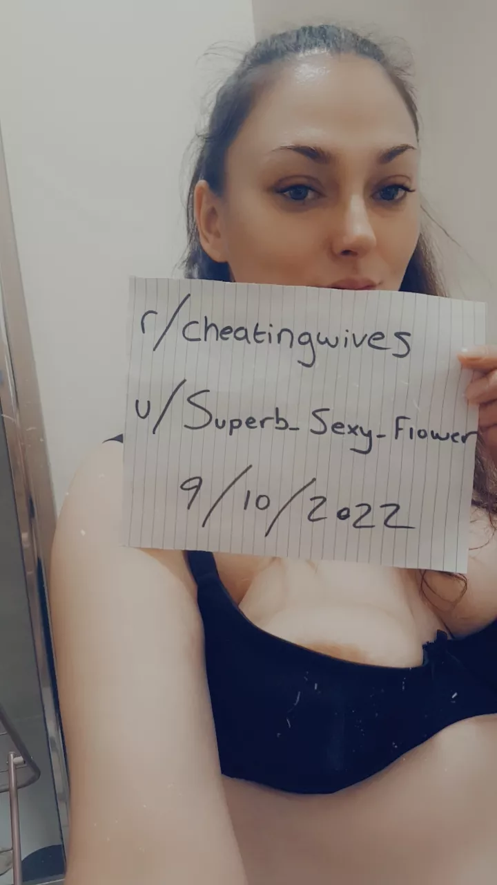 New cheater verifying