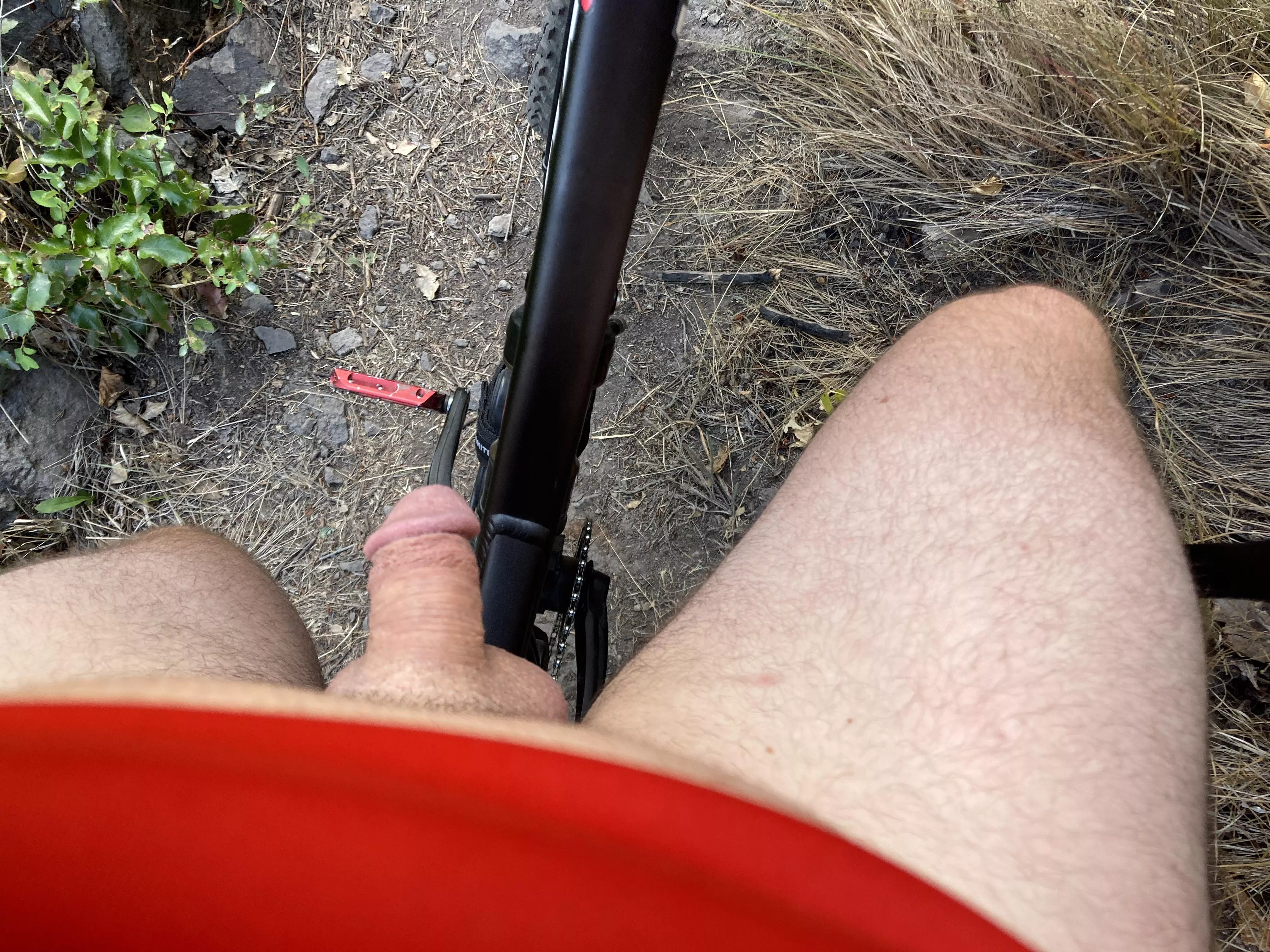 Out for a bike