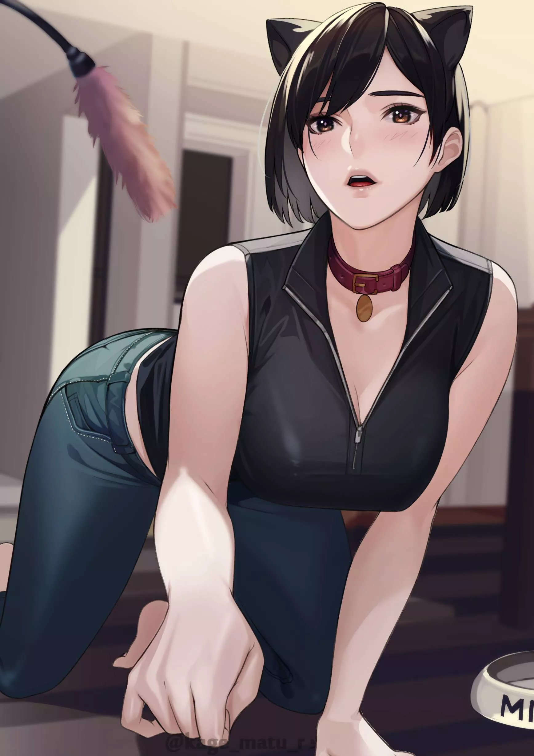 Playing Cat