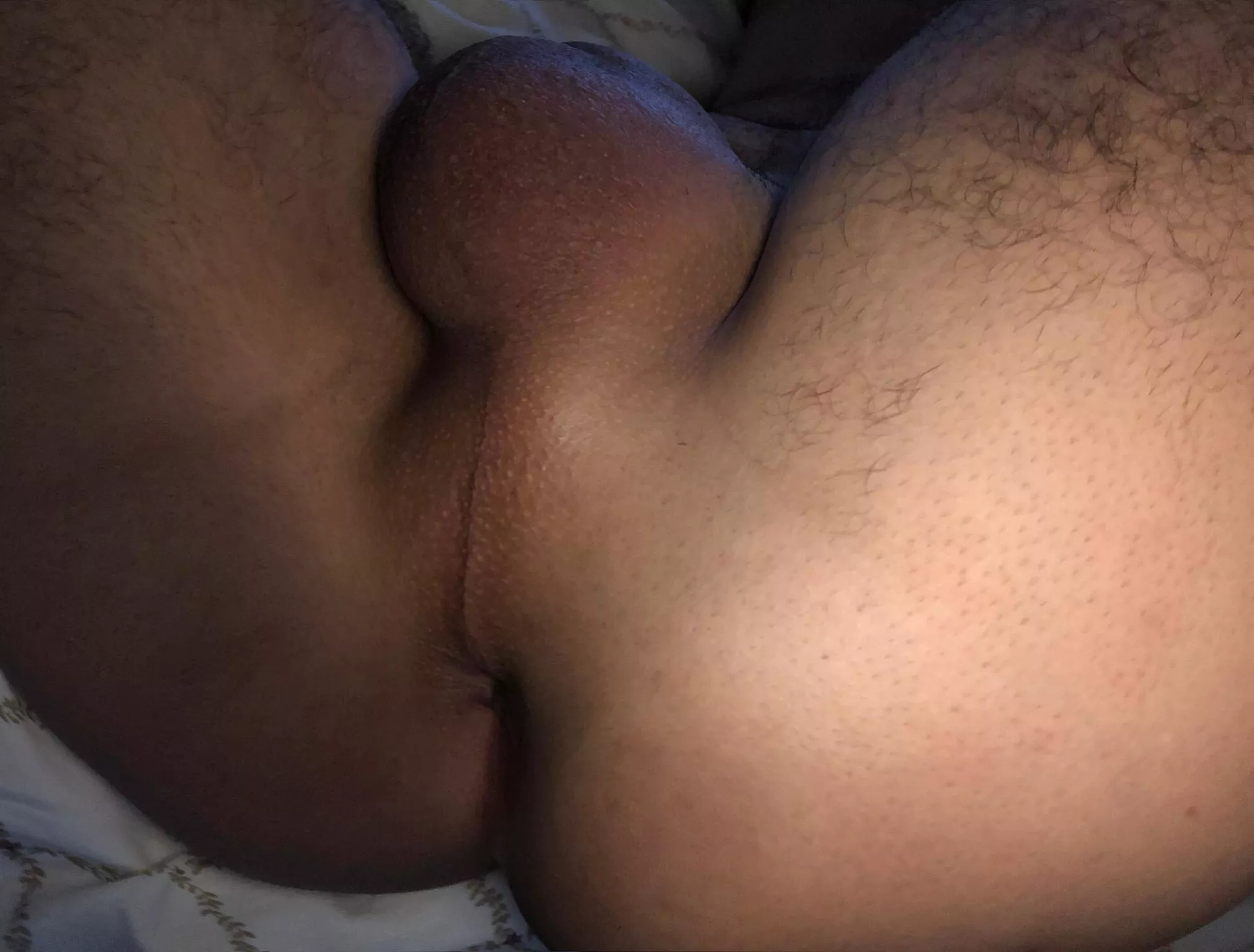 shaved