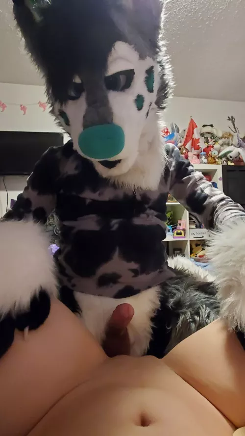 So THAT'S what he meant when he called himself the 