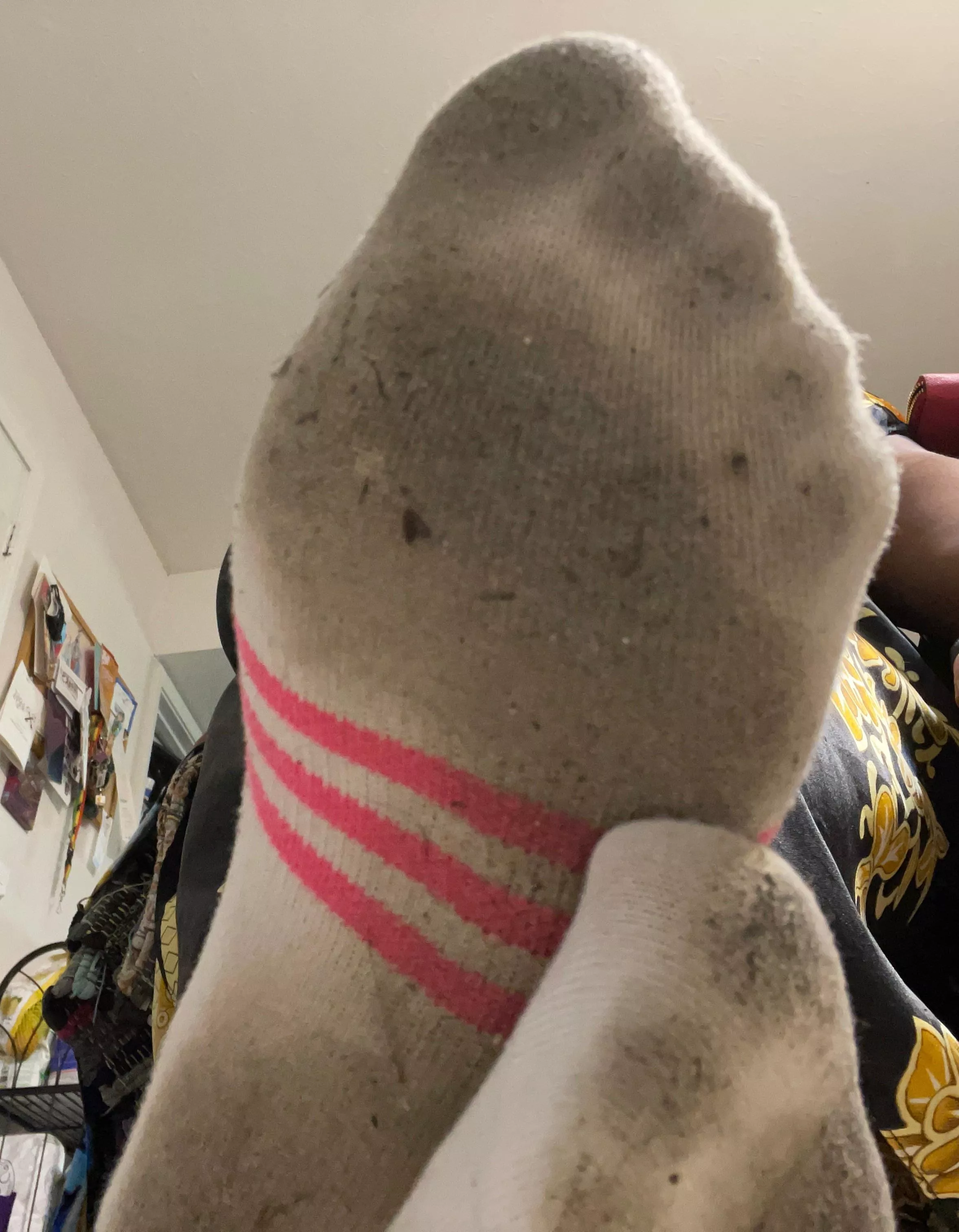 These got quite the workout… wanna sniff?