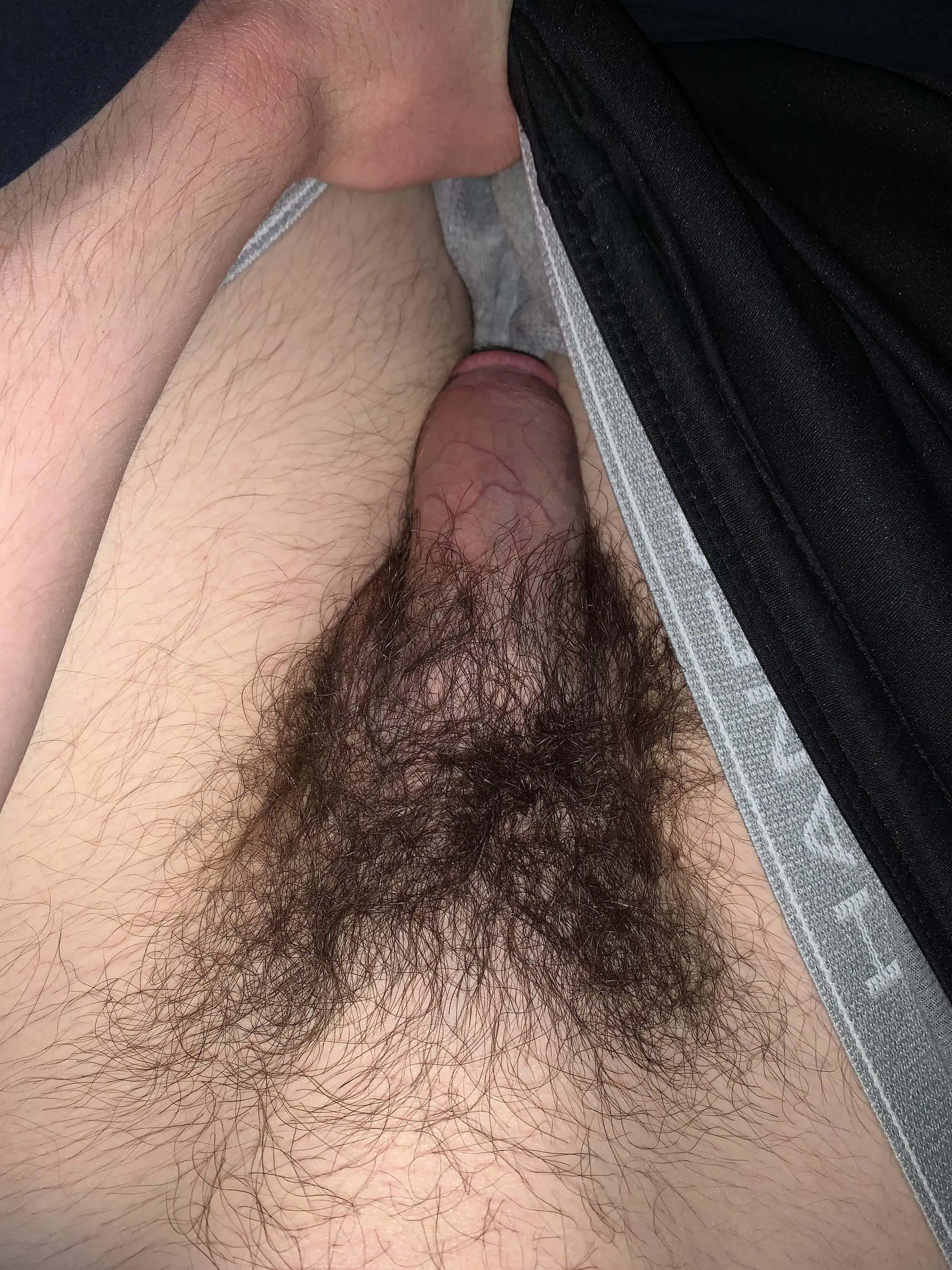 Thoughts?