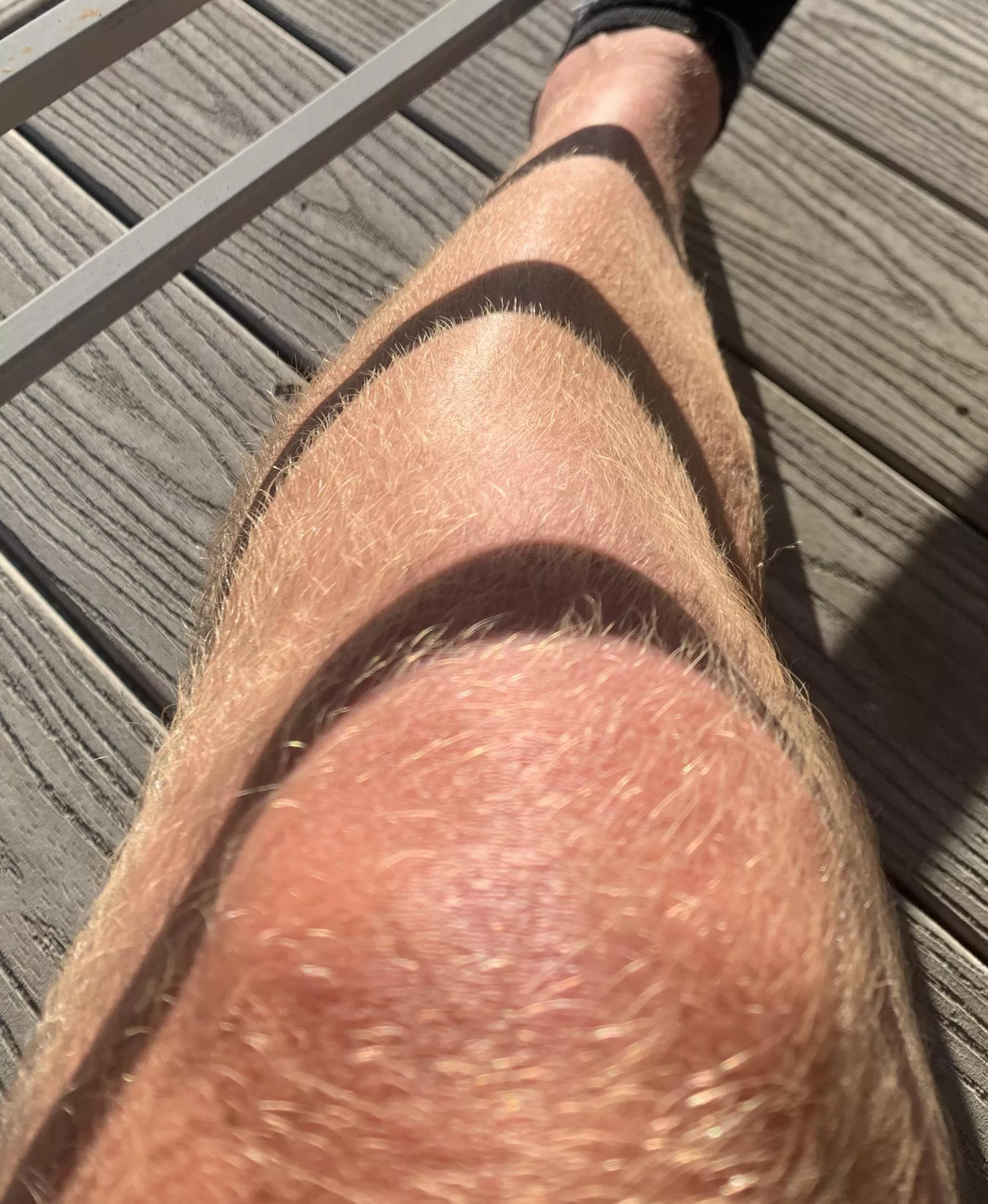 Tiger Stripes