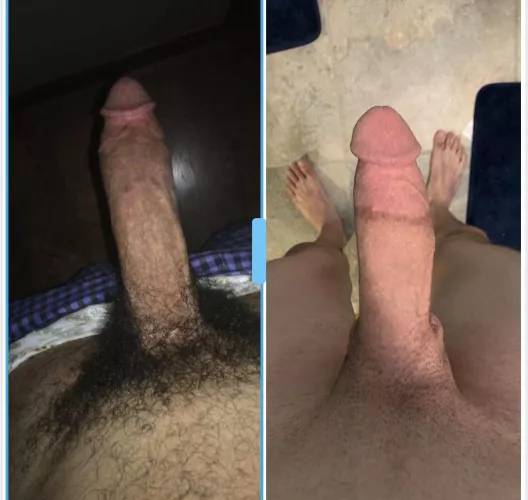 Who do you think won this comparison