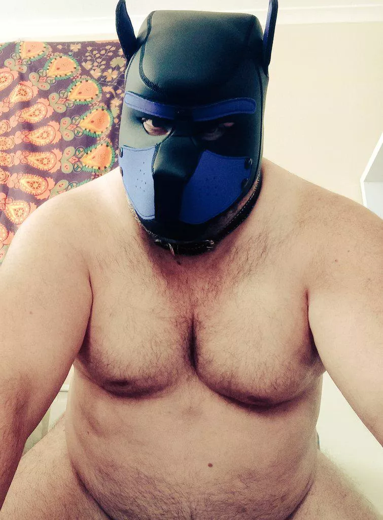 Who wants to wrestle?