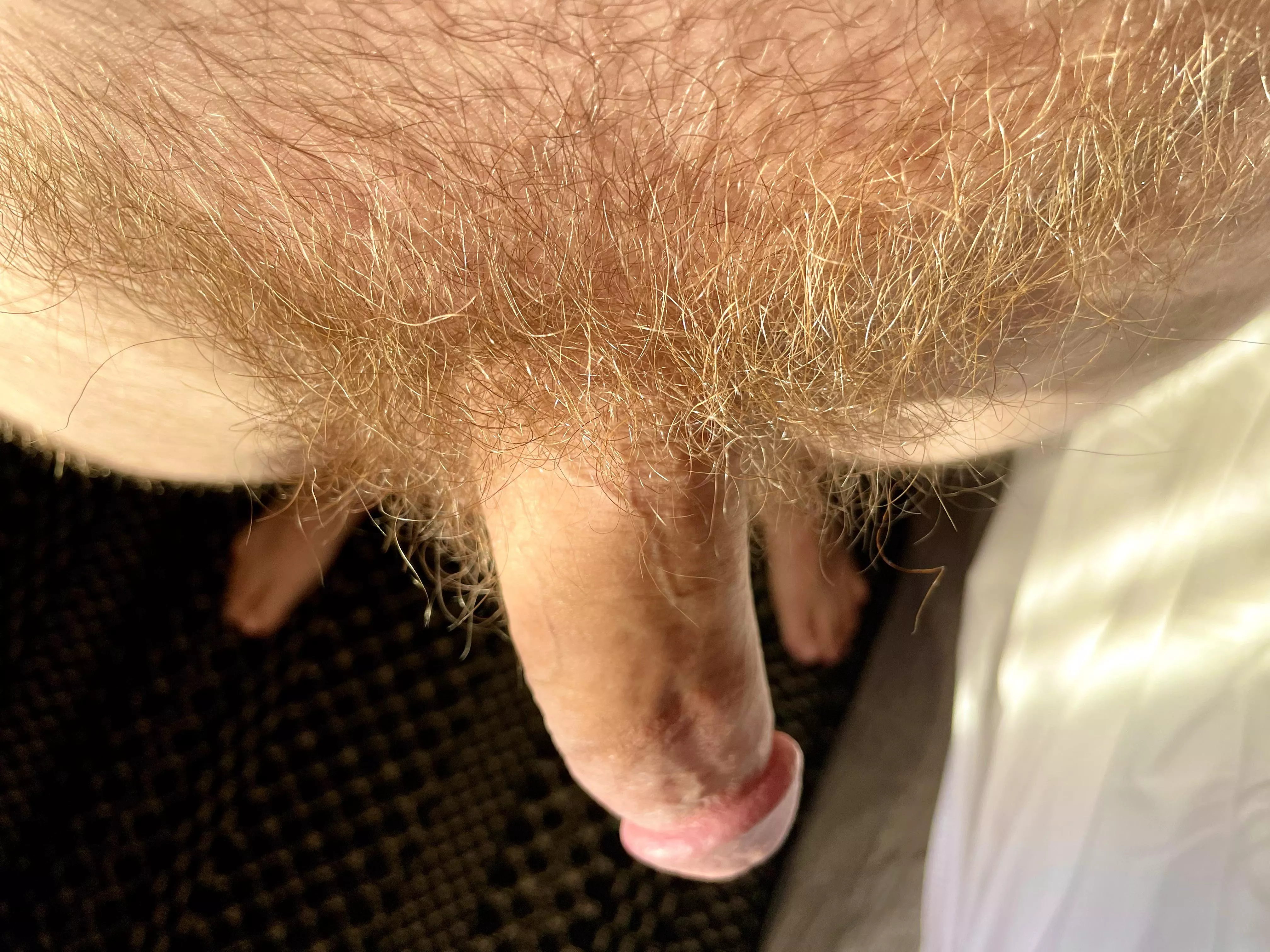 Would you run your fingers through my ginger bush?