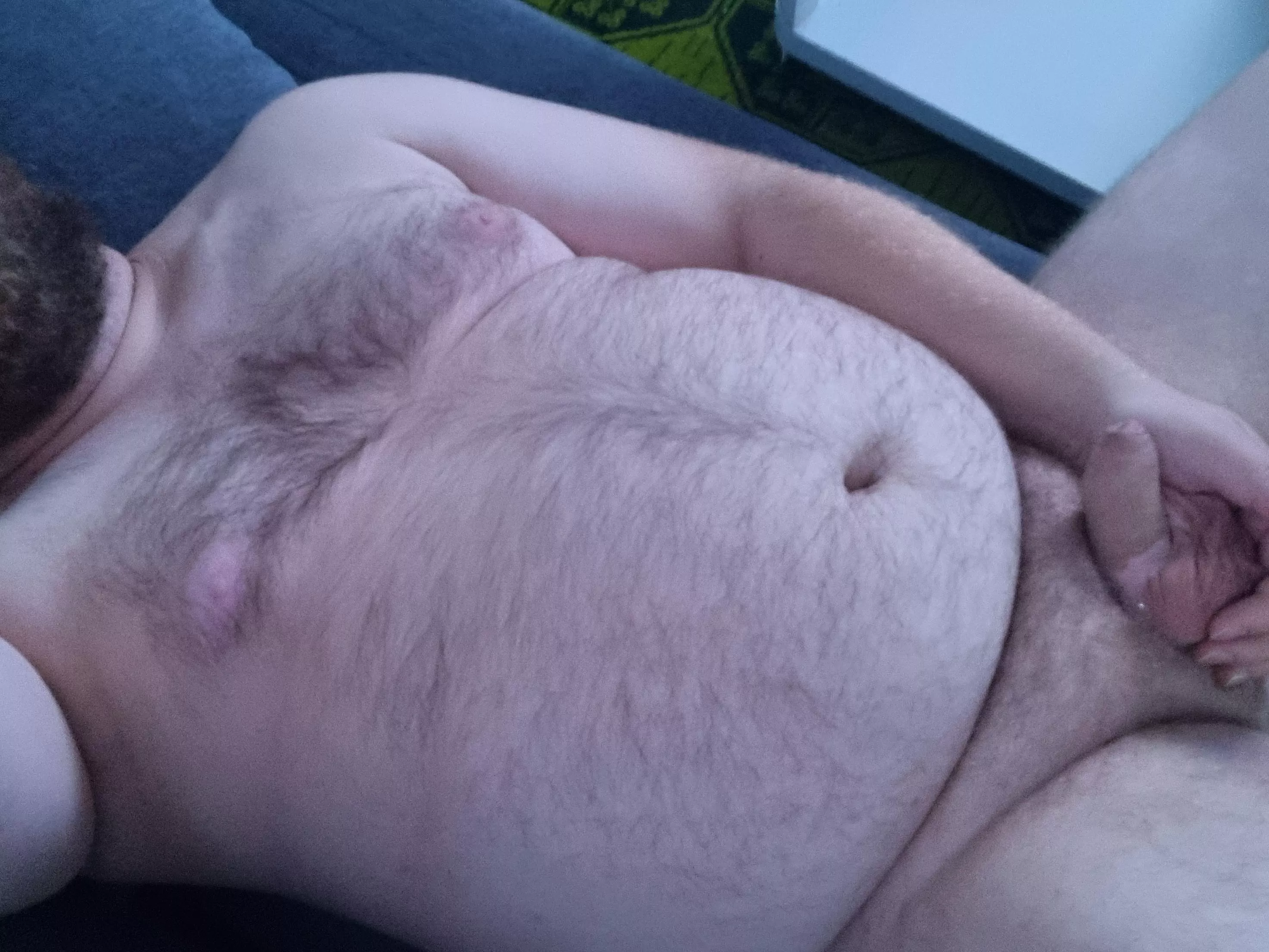 🐻🤗